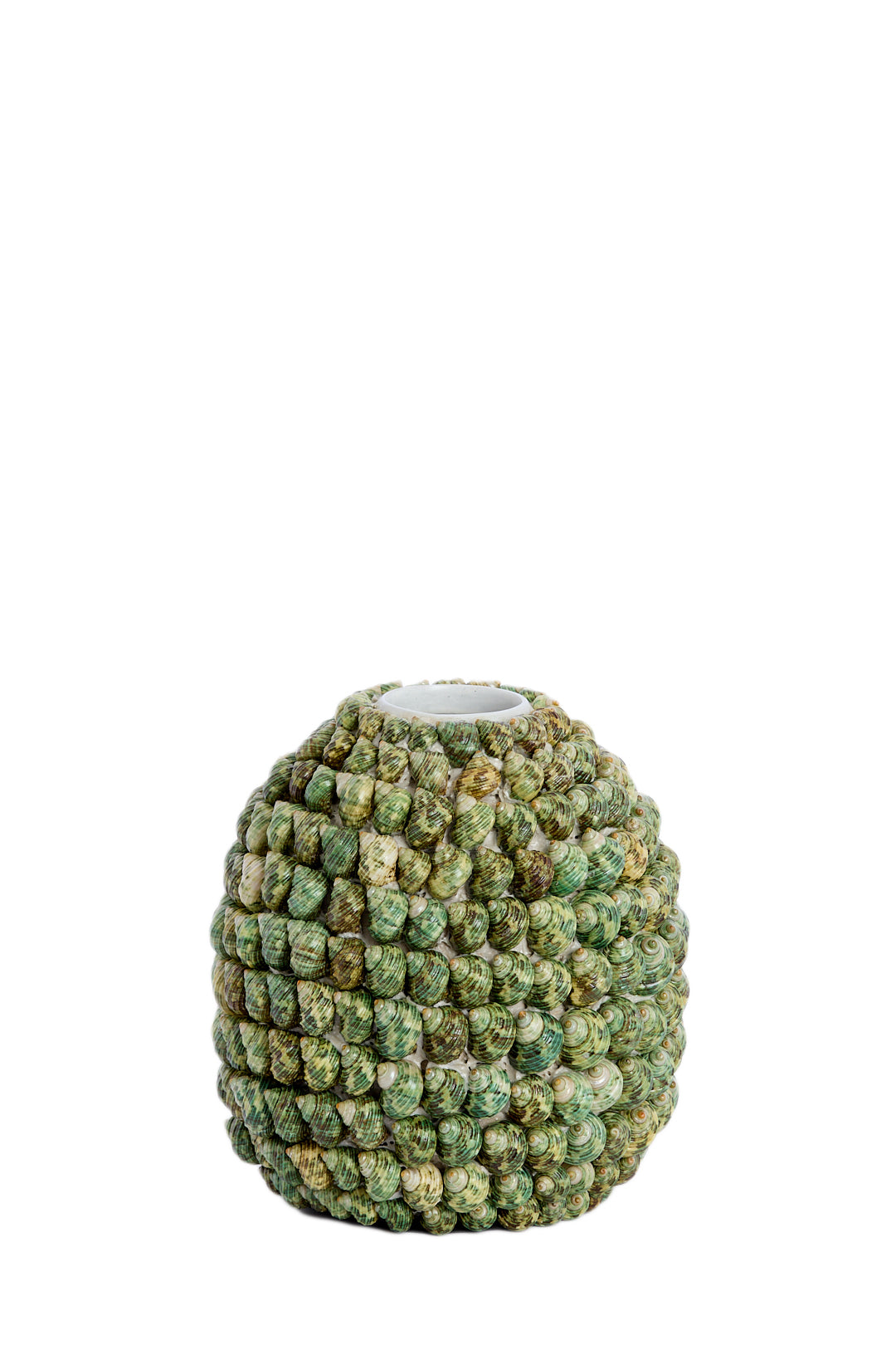 Light & Living - Vaas SHELL - Ø33x37cm - Groen