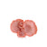 Light & Living - Ornament CORAL - 33x14x23.5cm - Roze