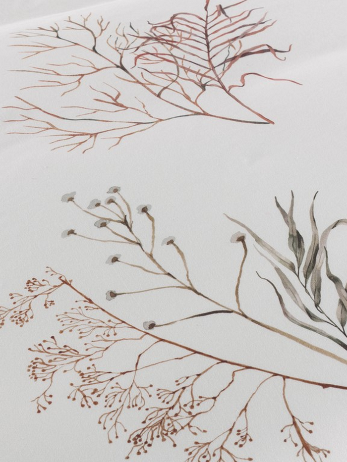 Heckett Lane Dekbedovertrek Katoen Satijn Coralline - white