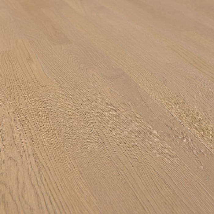 0cca4843-636a-42a4-9acf-88674bbefe57-afbeelding11.jpg (10391846) 