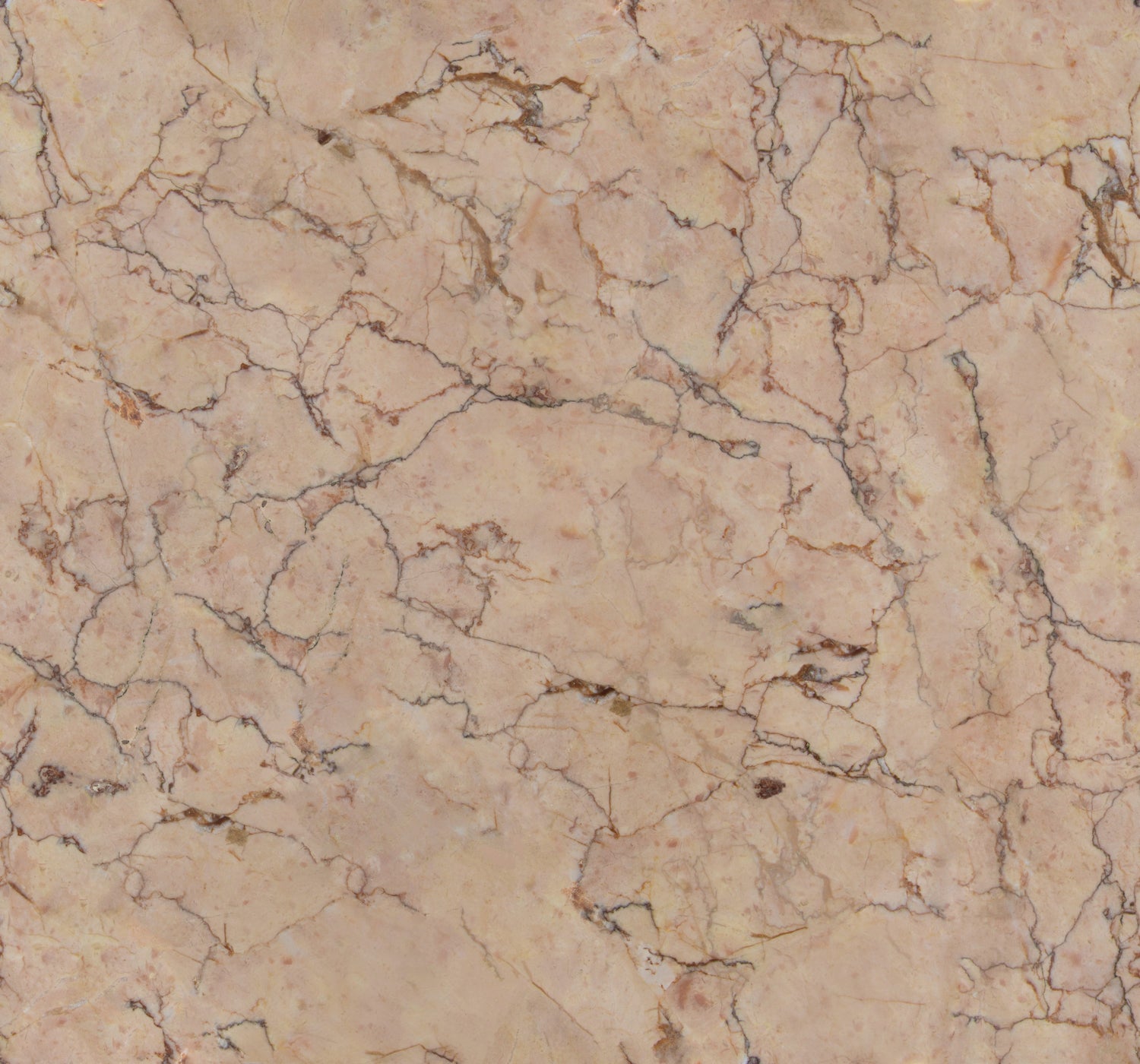 LOOKS by Wolfgang Joop Fotobehang - Marmor - Rosa - 270x300cm