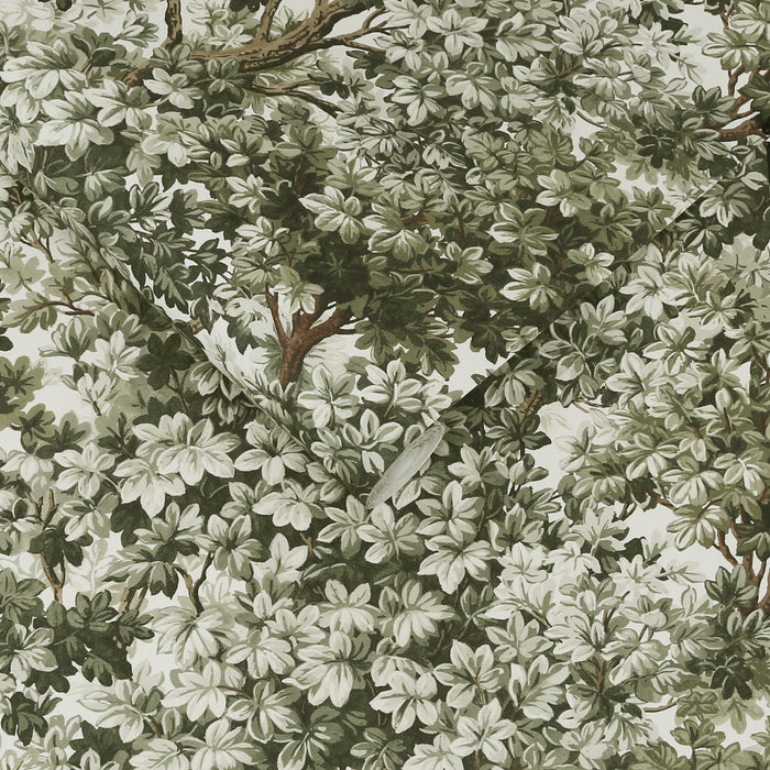 Graham & Brown vliesbehang Coppice Sage