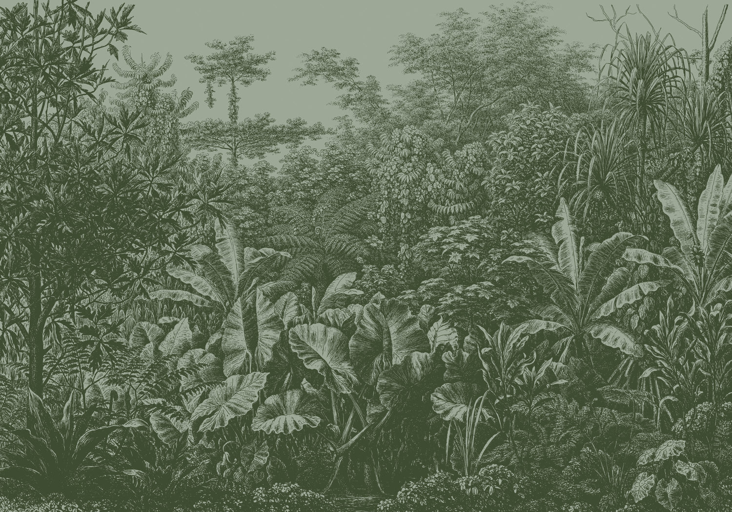 LOOKS by Wolfgang Joop Fotobehang - Regenwald - 270x350cm