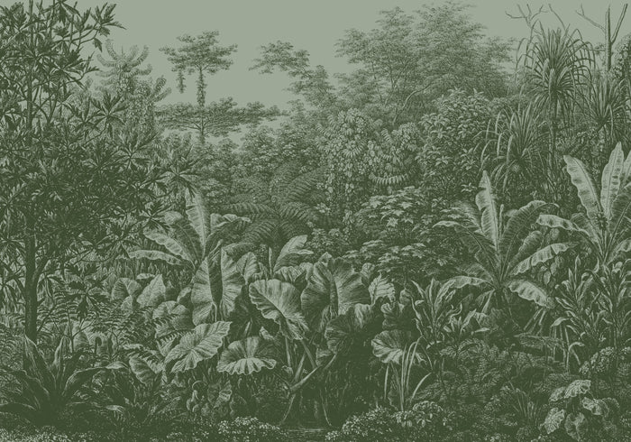 LOOKS by Wolfgang Joop Fotobehang - Regenwald - 270x350cm