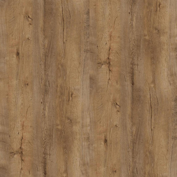 00867167-bc91-4bad-8db9-43ba5d789620-afbeelding5.jpg (10397528) 