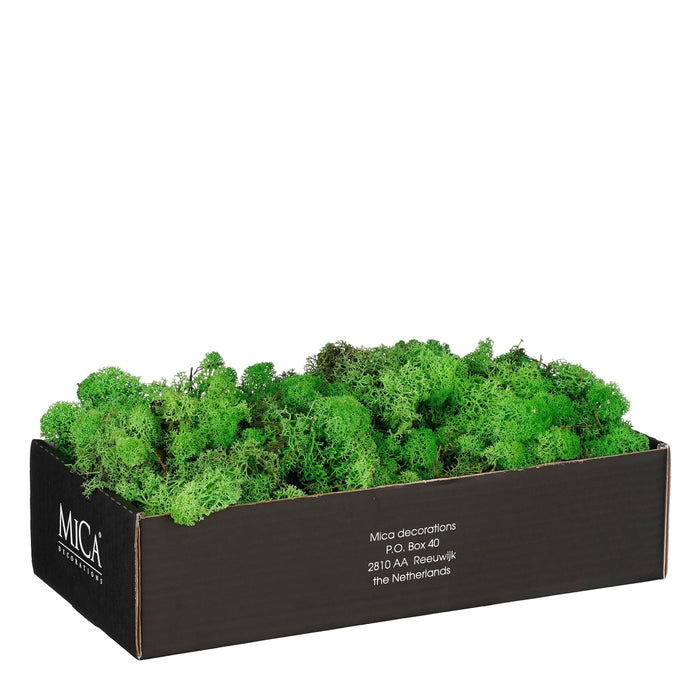 Mica Decorations Mossy Decoratiemos - 500 g - Groen
