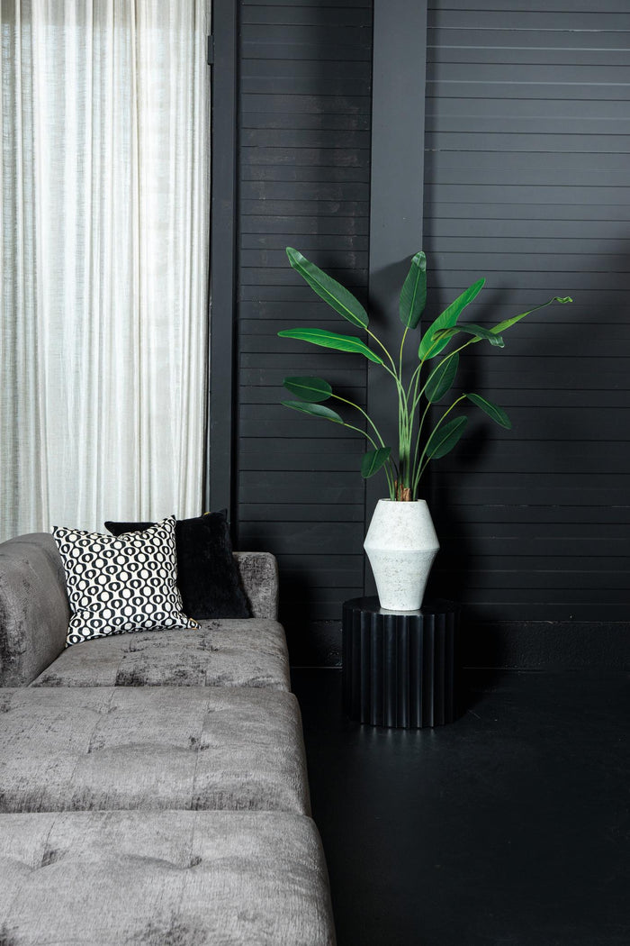 PTMD Tree Green leaf ravenala in black pot S