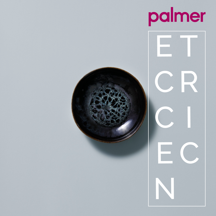 DS2 SCHAAL LG 16 PETROL ECCENTRIC