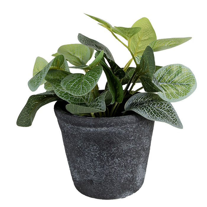 ffd73e50-26e9-4ee2-8005-55455f6b6cef-afbeelding3.jpg (10440952) 