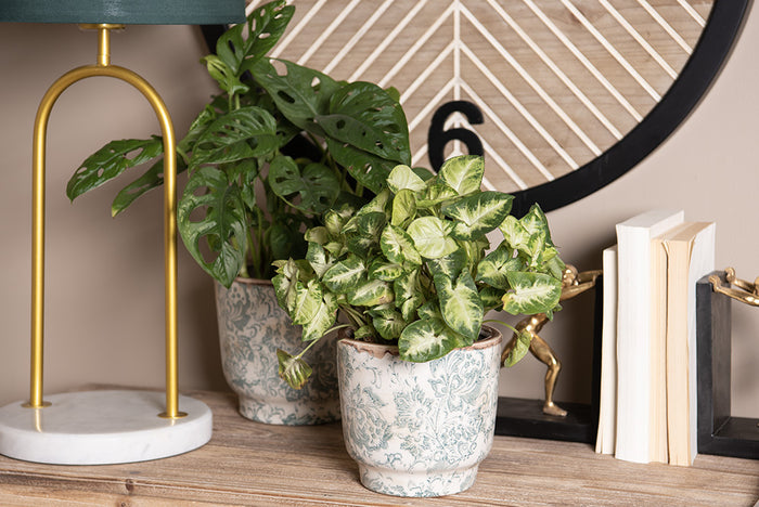 876224ce-1247-4506-a98c-7983a1bc940b-afbeelding5.jpg (10441006) 