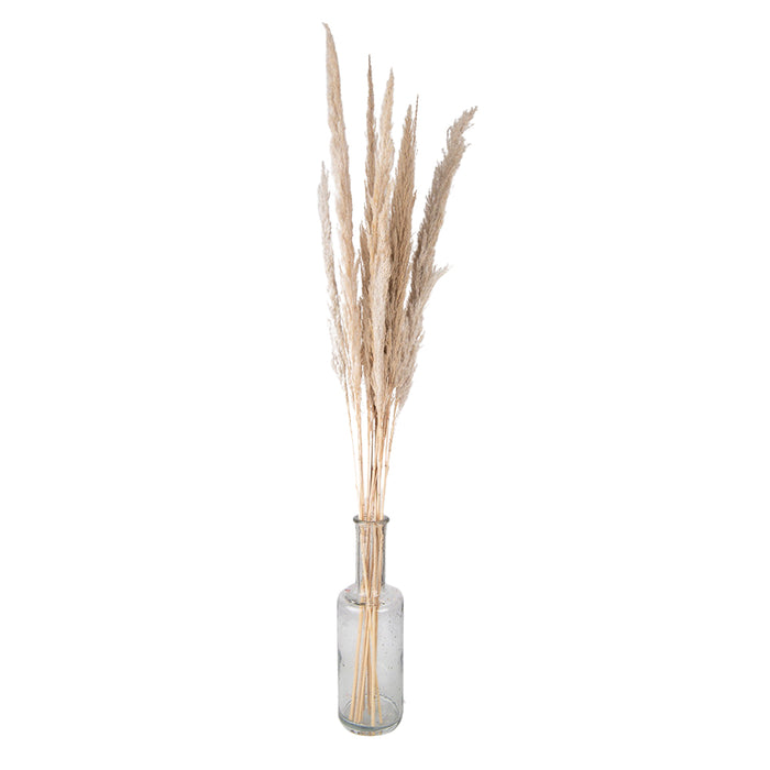 Clayre & Eef Droogbloemen  100 cm Beige Droogbloemen Droogboeket
