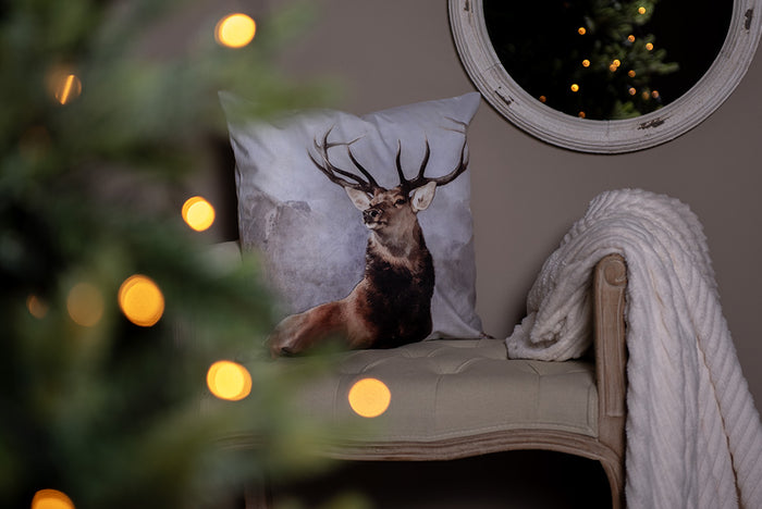 7f34bb8b-7ce0-47b2-b035-cd7e757648ae-afbeelding3.jpg (10443025) 