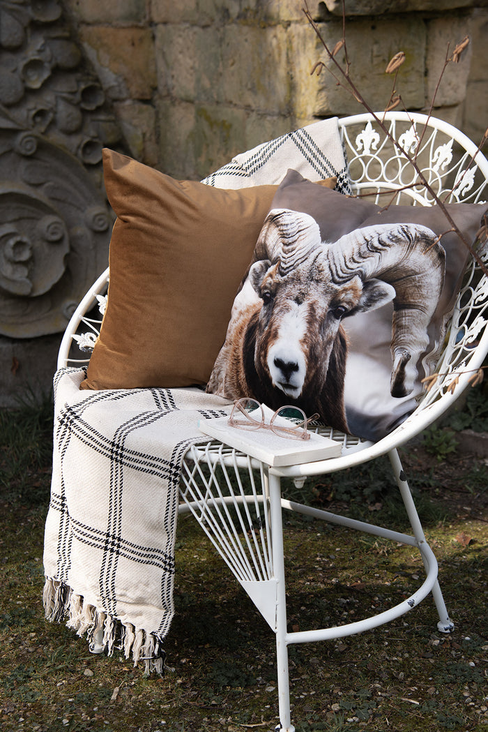 6555e8dc-9c6d-42e8-9559-b74ca8026a6b-afbeelding3.jpg (10443032) 