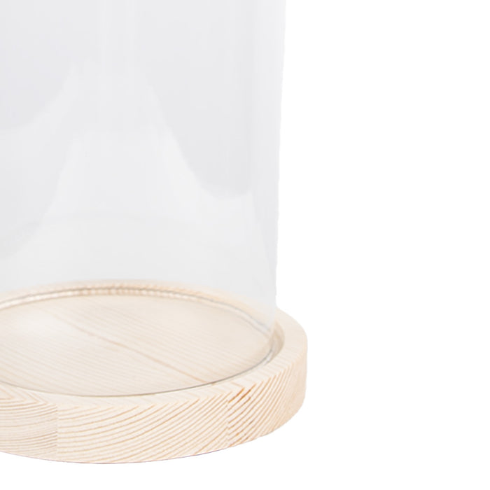 3a10e6be-f6ee-4b3e-877e-8b023784fe90-afbeelding3.jpg (10443725) 