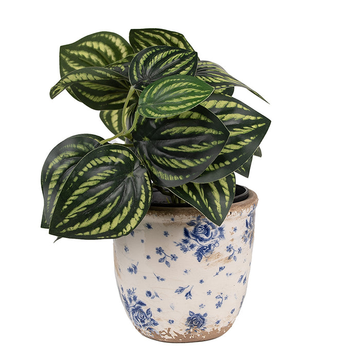 0c35643b-d9c7-4ee8-9e9b-32062dad1a5e-afbeelding3.jpg (10444092) 