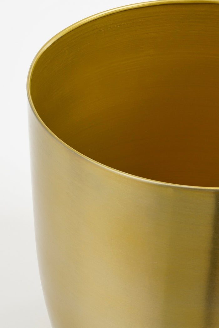 02f97534-9804-4339-8fe8-dfa3eb49f420-afbeelding3.jpg (10453762) 