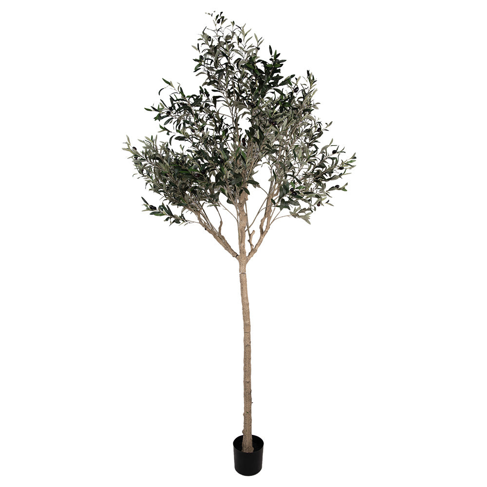 Clayre & Eef Kunst Olijfboom 240 cm Groen Kunststof