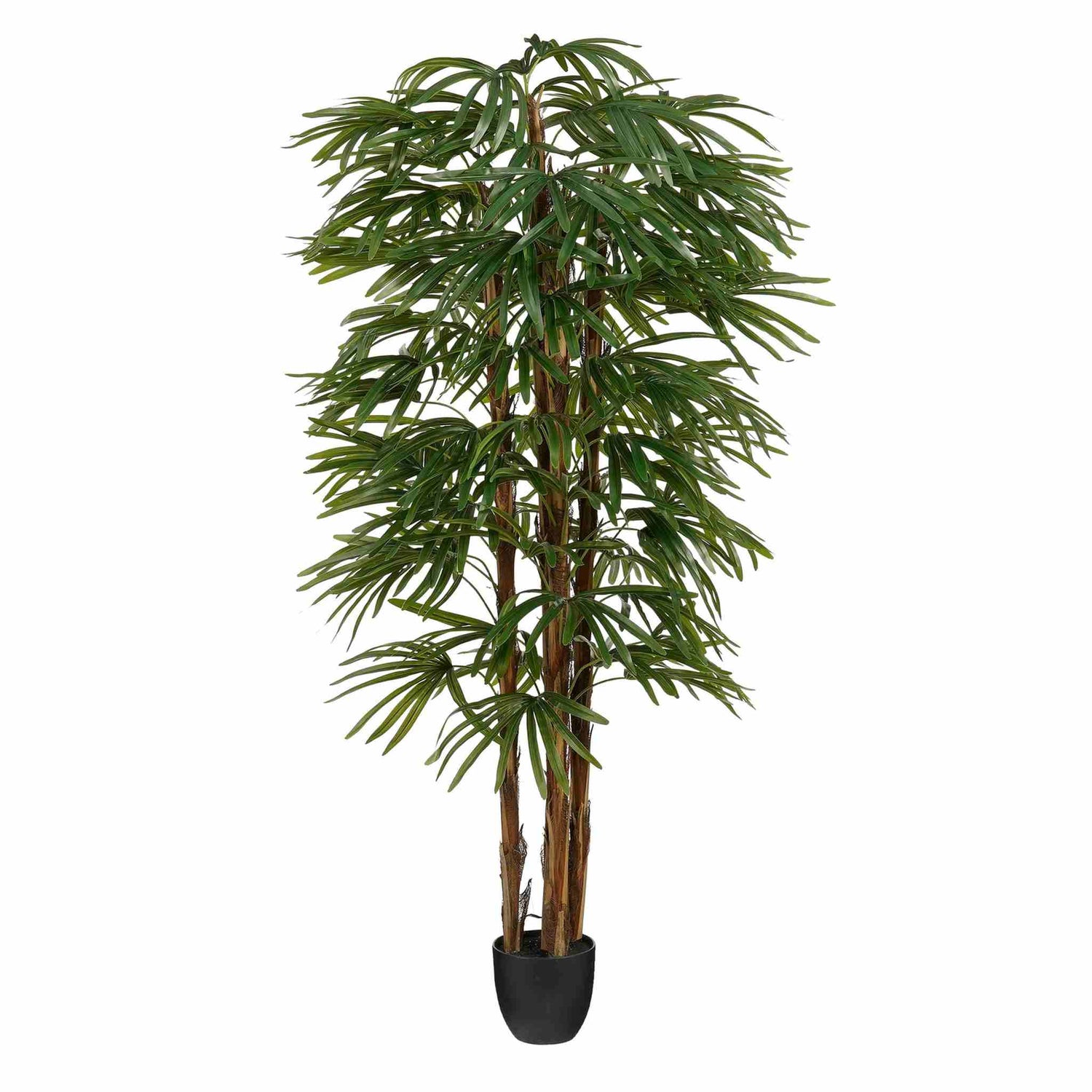 Mica Decorations Kunstboom Raphis - 75x75x180 cm - Polyester - Groen