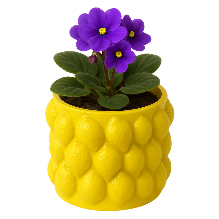 a9171d91-6a64-45b0-a233-59d93ba164bf-afbeelding3.jpg (10455296) 