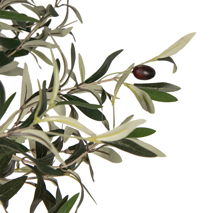 Clayre & Eef Kunst Olijfboom 320 cm Groen Kunststof