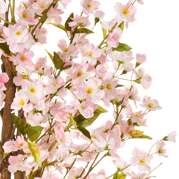 45f84aa0-83ff-45ec-a967-83563107ed67-afbeelding3.jpg (10455484) 