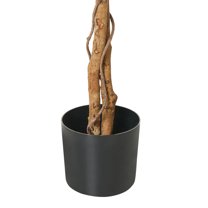 45f84aa0-83ff-45ec-a967-83563107ed67-afbeelding4.jpg (10455496) 