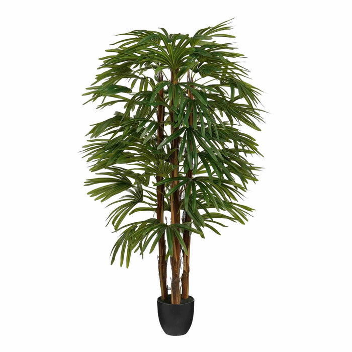 Mica Decorations Kunstboom Raphis - 60x60x150 cm - Polyester - Groen