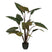 Mica Decorations Kunstplant Alocasia - 60x60x140 cm - Polyester - Groen