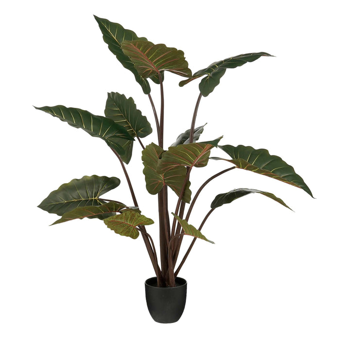 Mica Decorations Kunstplant Alocasia - 60x60x140 cm - Polyester - Groen