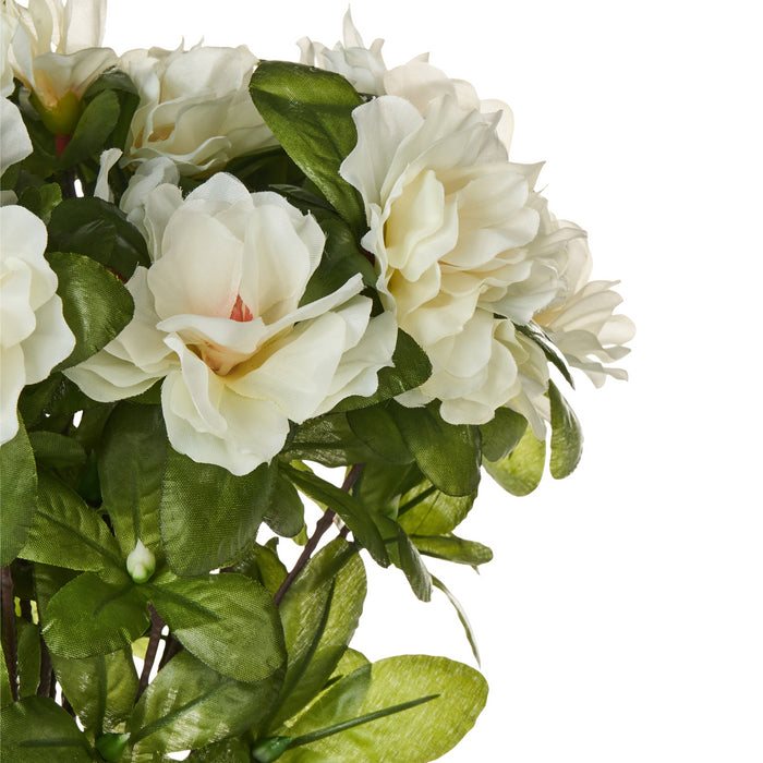 5369ccde-bcbd-441e-9816-ce66dbeabd48-afbeelding3.jpg (10456472) 