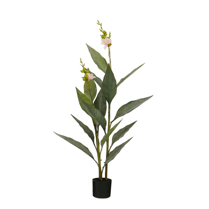 Mica Decorations Kunstplant Canna - 46x46x115 cm - PE - Licht Roze