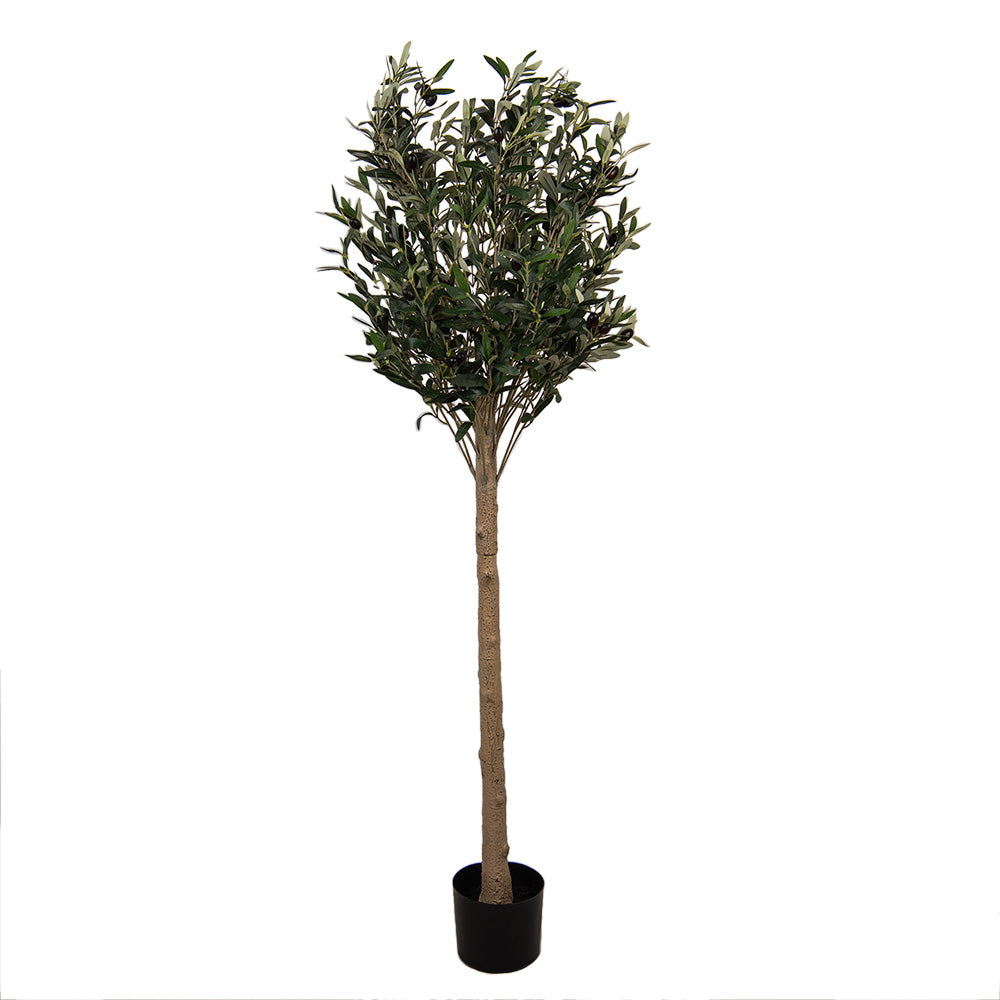 Clayre & Eef Kunst Olijfboom 165 cm Groen Kunststof