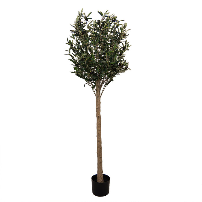Clayre & Eef Kunst Olijfboom 165 cm Groen Kunststof