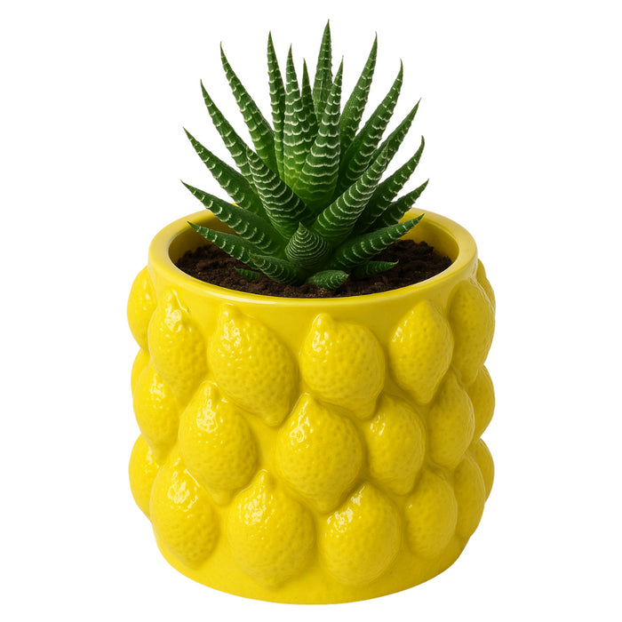 a9171d91-6a64-45b0-a233-59d93ba164bf-afbeelding4.jpg (10458013) 