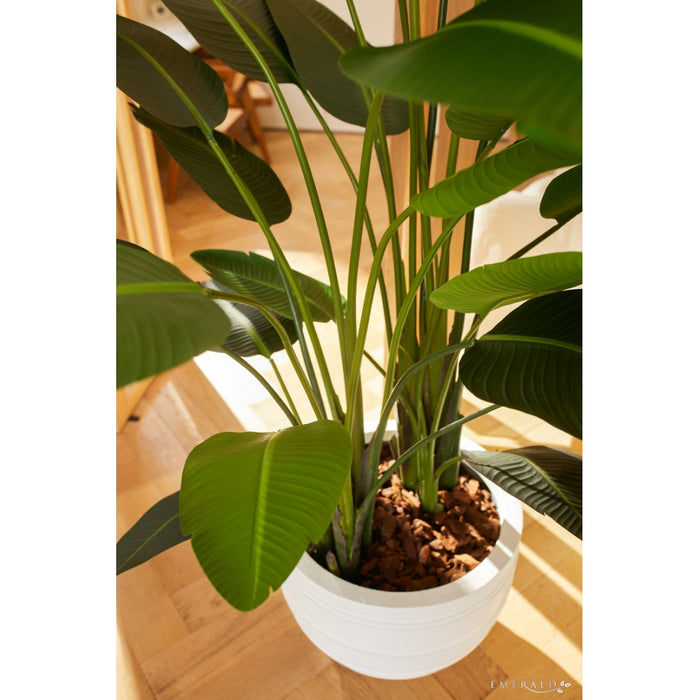 Easyplants Kunstplant Strelitzia 230 Cm