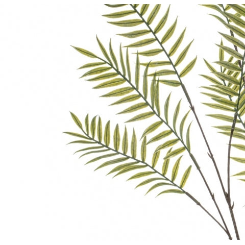 9cf69f2d-cd66-49c1-8cc0-9cc3cc252013-afbeelding3.jpg (10469446) 