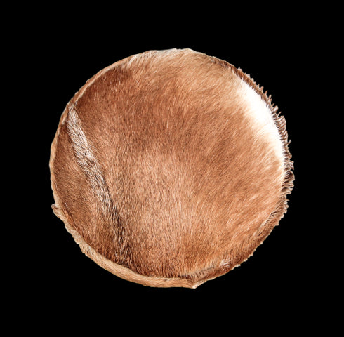 e0822fc7-4be1-4f9e-9807-887cda6369b7-afbeelding10.jpg (10596866) 