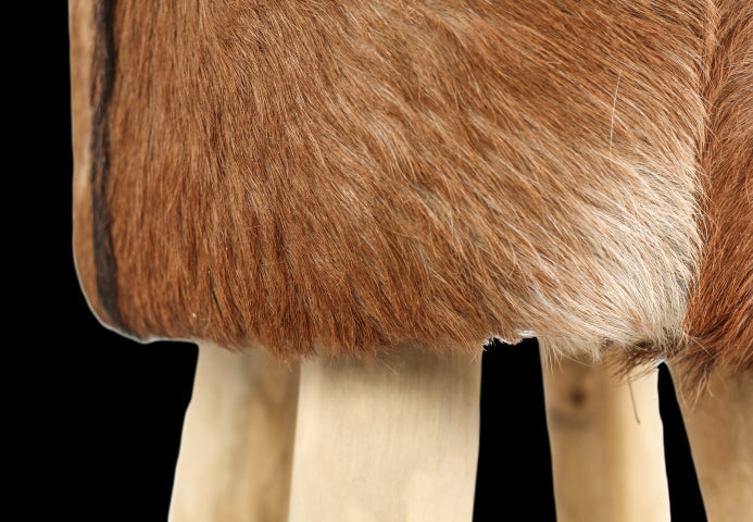 e0822fc7-4be1-4f9e-9807-887cda6369b7-afbeelding11.jpg (10596955) 