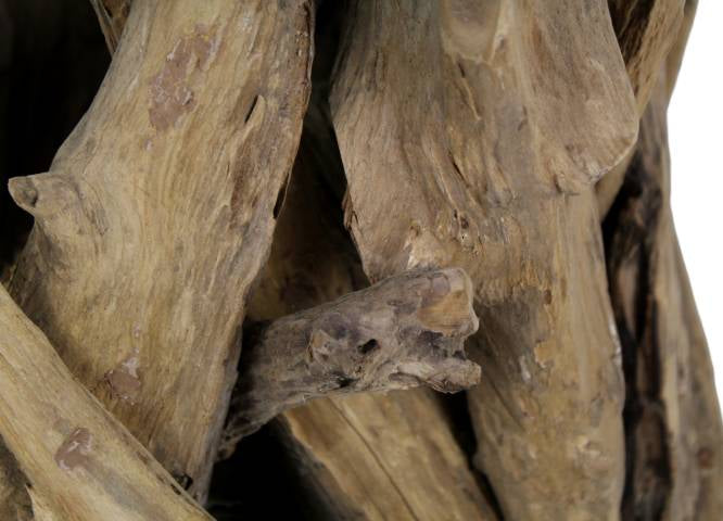 4edfbab7-e98b-48d4-b92e-7d3af95ca06d-afbeelding4.jpg (10597098) 