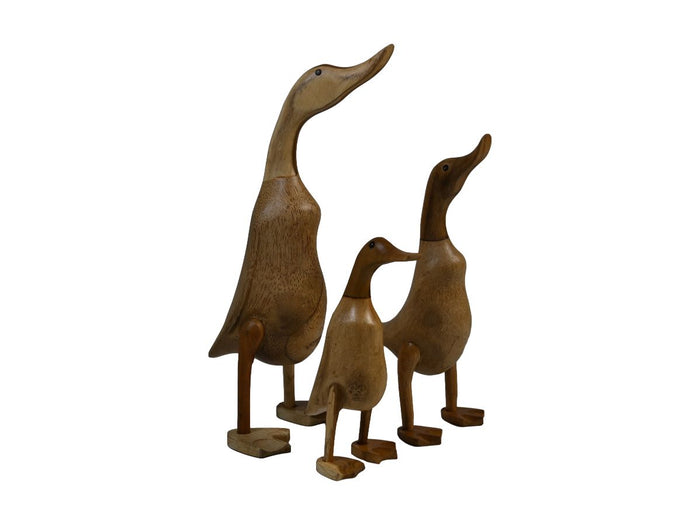 9620891c-e55f-4381-951c-a4f31b5f10d4-afbeelding5.jpg (10640971) 