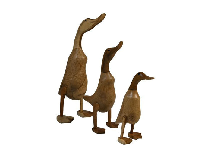 9620891c-e55f-4381-951c-a4f31b5f10d4-afbeelding10.jpg (10640989) 