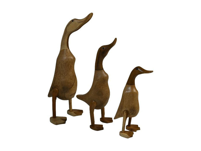 9620891c-e55f-4381-951c-a4f31b5f10d4-afbeelding12.jpg (10641005) 