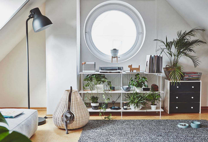 44fff733-89ac-4cd5-950b-f7f219f11427-afbeelding6.jpg (10647781) 