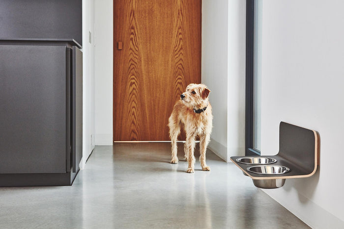 MiaCara Arco hondenvoerbak wand small|medium wit