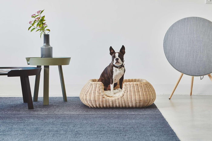 962f9240-60d6-49a3-bf19-d0ecbdfef7de-afbeelding5.jpg (10649581) 