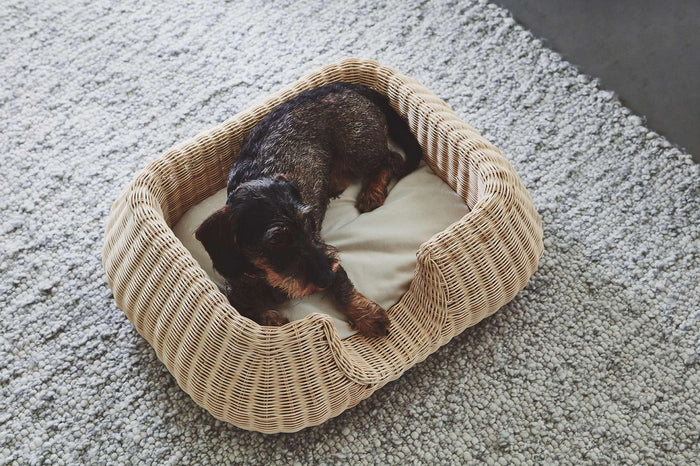 962f9240-60d6-49a3-bf19-d0ecbdfef7de-afbeelding7.jpg (10649602) 