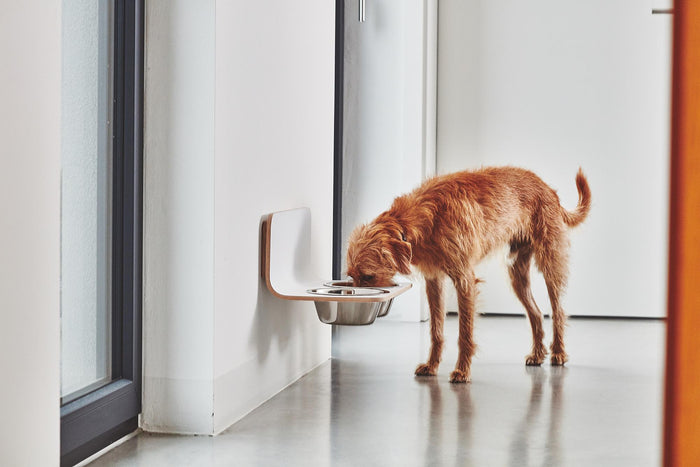 Arco hondenvoerbak wand medium|large grijs