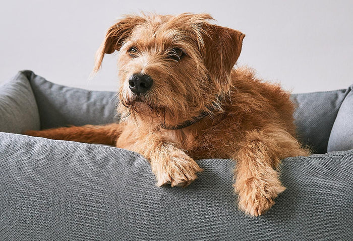 bc767cde-384e-4997-8962-dfbaa2dcafb0-afbeelding5.jpg (10650327) 