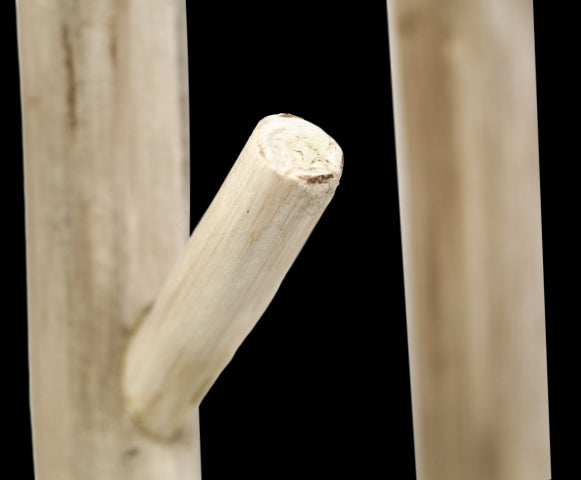 376a26c0-eba4-42de-9524-91e4b8018836-afbeelding5.jpg (10650495) 