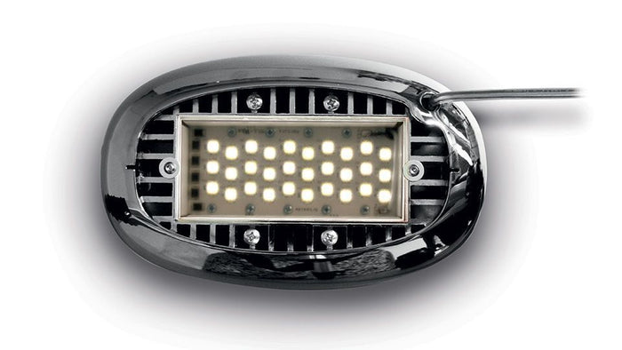 7fd7034f-e8f1-4c01-a4d3-d1e50e7474da-afbeelding4.jpg (10651028) 